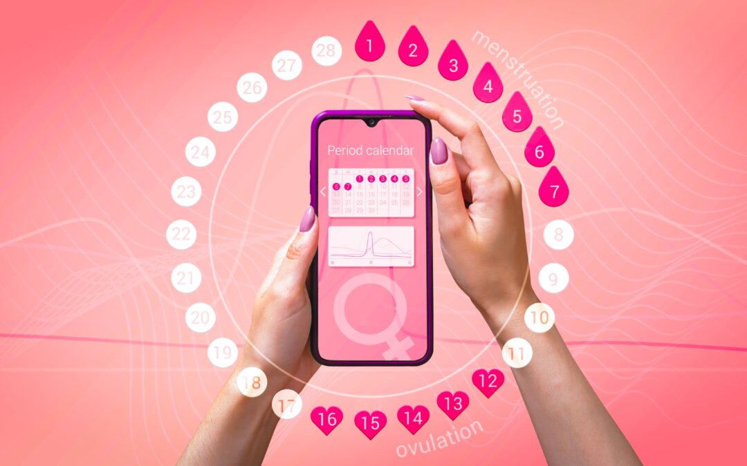 Ovulation Guide: Signs, Process, Fertility, Calculators, and Cramps | Docty Clinics